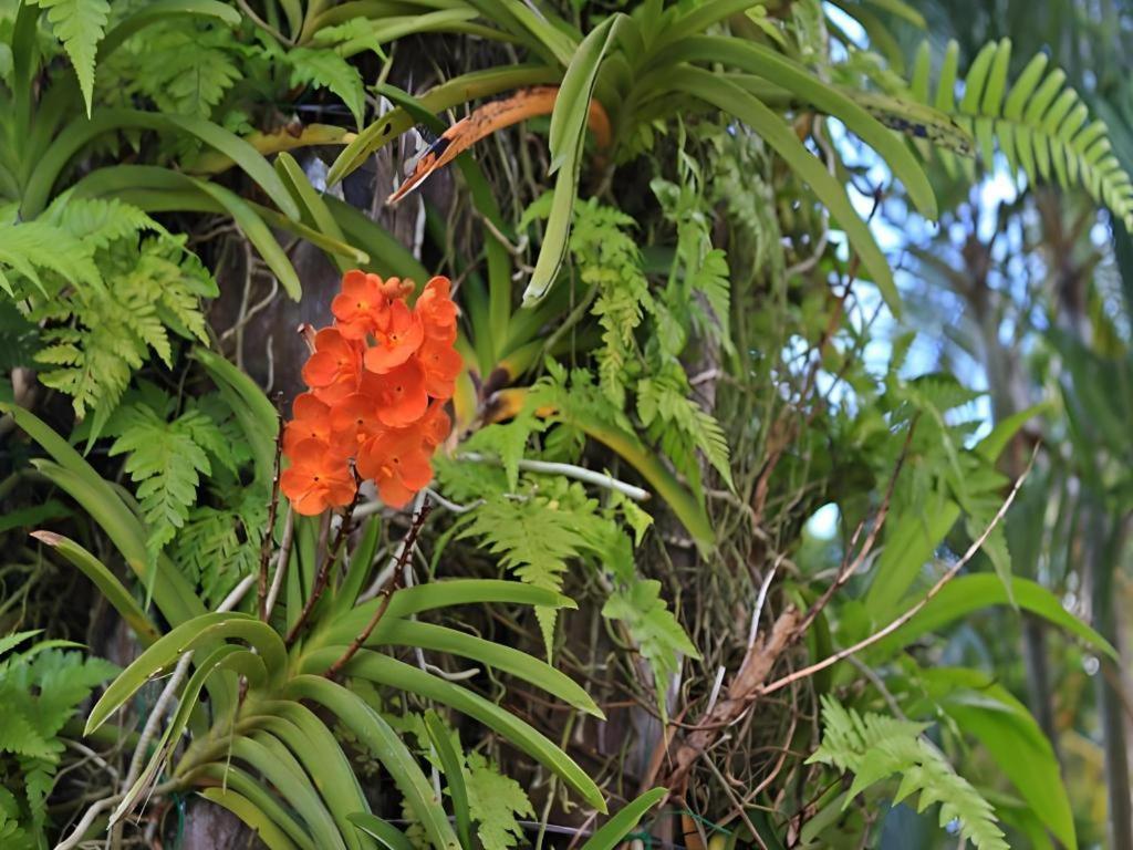 皇家Lee水疗度假村 奈扬海滩 外观 照片